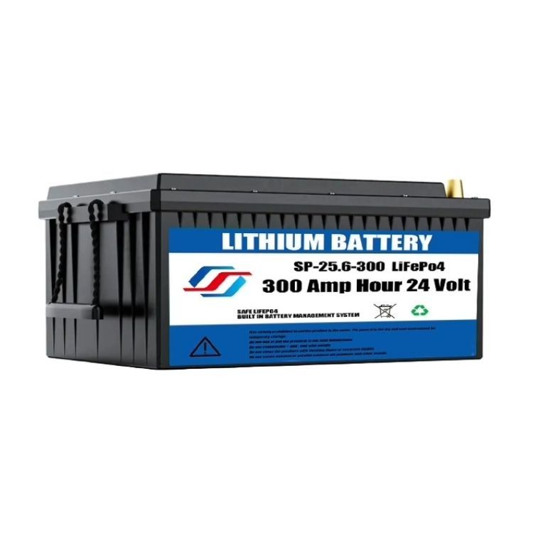 5000cycles 24v Lithium Ion Battery Pack Backup Power Energy Storage 24v Solar Battery