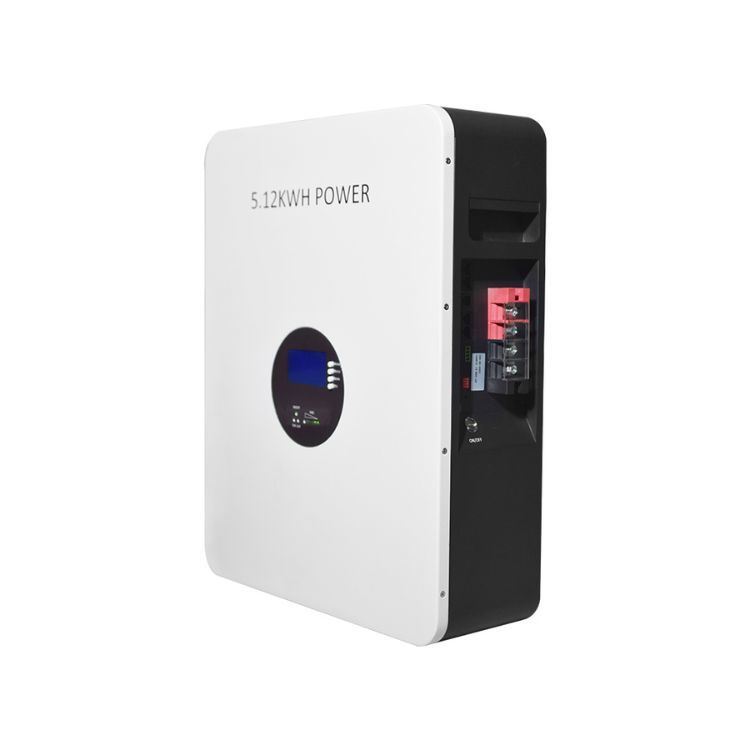 OEM ODM Acceptable 51.2V 100Ah Lifepo4 5kw Lithium Battery For Home Energy Storage System 